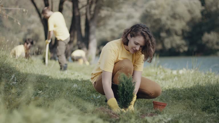 Best Organic Lawn Care Solutions  in North Shore, VA