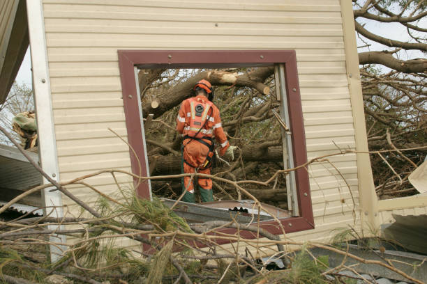 Best Tree Removal  in North Shore, VA