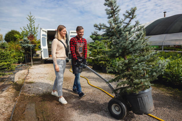 Best Lawn Drainage Solutions  in North Shore, VA